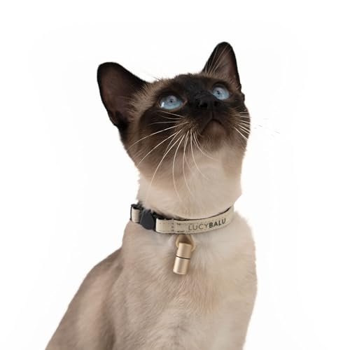 LucyBalu® Premium Katzenhalsband mit Namenskapsel | Reißfestes Halsband aus Nylon | Katzen-Halsband mit Sicherheitsverschluss | Kapsel-Anhänger für Kontaktdaten | Größenverstellbar | Sand von LucyBalu