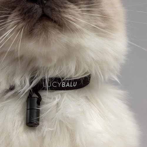 LucyBalu® Premium Katzenhalsband mit Namenskapsel | Reißfestes Halsband aus Nylon | Katzen-Halsband mit Sicherheitsverschluss | Kapsel-Anhänger für Kontaktdaten | Größenverstellbar | Schwarz von LucyBalu