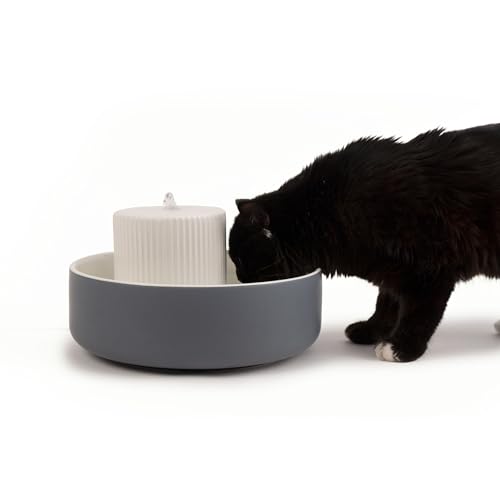LucyBalu® Trevi Trinkbrunnen für Katzen aus Keramik | Katzenbrunnen für Katzen | Katzentrinkbrunnen | Wasserbrunnen für Katzen | Katzenbrunnen aus Keramik | Wassernapf für Katzen | Anthrazit von LucyBalu