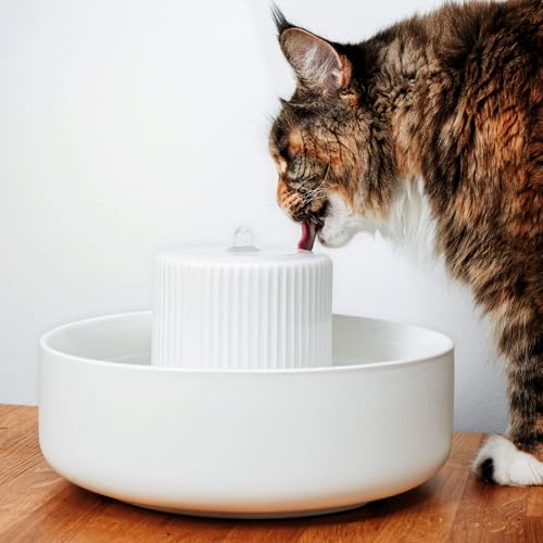 LucyBalu® Trevi Trinkbrunnen für Katzen aus Keramik | Katzenbrunnen für Katzen | Katzentrinkbrunnen | Wasserbrunnen für Katzen | Katzenbrunnen aus Keramik | Wassernapf für Katzen | Trinknapf | Weiß von LucyBalu