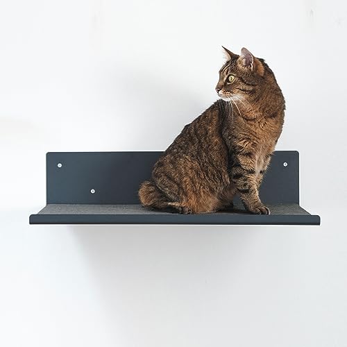 LucyBalu® Wandliege für Katzen | Katzenbett für Wand | Katzen Wand Liegeplatz | Katzen Wandbett | Katzenliege für die Wand | Katzenmöbel für Kletterwand | Katzenregal | Anthrazit mit Filz-Auflage von LucyBalu