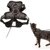 LucyBalu EXPLORER Katzengeschirr leo XS-S LucyBalu EXPLORER Katzengeschirr leo XS-S von LucyBalu