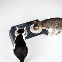 LucyBalu Futterstation DINE anthrazit LucyBalu Futterstation DINE anthrazit von LucyBalu