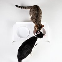 LucyBalu Futterstation DINE weiß LucyBalu Futterstation DINE weiß von LucyBalu