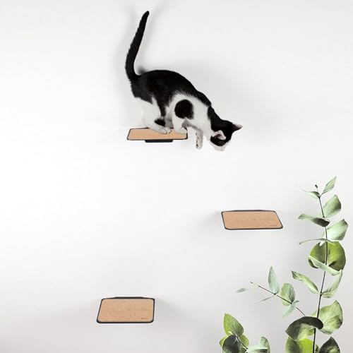 LucyBalu® Katzentreppe Wand Innen & Außen 3er Set | Kletterwand für Katzen | Wandpark für Katzen bis 7kg | Katzenleiter mit Anti-Rutsch Beschichtung | 3 Katzenstufen zur Wandbefestigung | Anthrazit von LucyBalu