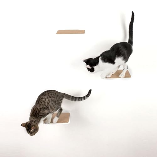 LucyBalu® Steps Katzentreppe Wand Innen & Außen 3er Set | Katzen Kletterwand | Wandpark für Katzen bis 7kg | Katzenleiter | Anti-Rutsch Beschichtung | 3 Stufen | Wandbefestigung | 18 x 18 cm Weiß von LucyBalu