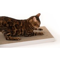 LucyBalu SCRATCHPAPER Katzen Kratzpappe weiß LucyBalu SCRATCHPAPER Katzen Kratzpappe weiß von LucyBalu