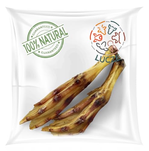 Entenfüße für Hunde - 5 Stück - wie Hühnerfüße - Kauartikel für Hunde - 100% natürlicher Kausnack getrocknet Hund - Hundeleckerli - Lucze Premium Hundesnack (5, Ente) Entenfüße für Hunde - 5 Stück - wie Hühnerfüße - Kauartikel für Hunde - 100% natürlicher Kausnack getrocknet Hund - Hundeleckerli - Lucze Premium Hundesnack (5, Ente) von Lucze