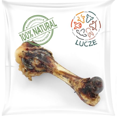 Lucze, Getrockneter Schinkenknochen für Hunde 20-25 cm, 100% Natürlicher Kausnack, Extra Hart, Langanhaltender Kauspaß, Zahnpflege, Ohne Künstliche Zusätze, Perfekt für Mittelgroße & Große Hunde von Lucze