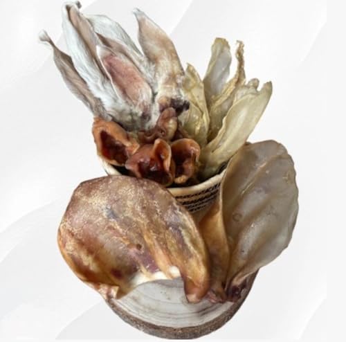 Kauohren für Hunde Set - Rinderohren - Hasenohren mit Fell für Hunde - Schweineohren - Schweineohrmuscheln - Hundeleckerli - Lucze Premium Hundeleckerlis Kauohren für Hunde Set - Rinderohren - Hasenohren mit Fell für Hunde - Schweineohren - Schweineohrmuscheln - Hundeleckerli - Lucze Premium Hundeleckerlis von Lucze