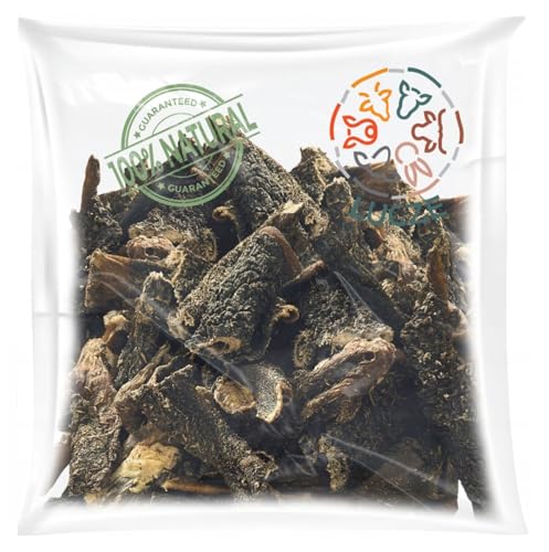 Lucze, Rinderpansen für Hunde, 5kg, Pansen Getrocknet, Rinder Dörrfleisch, Hundeleckerlie 15-30cm, 100% Natürlich, gesunde Tiernahrung, Eigenherstellung von Lucze