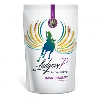Ludgers P Basic Energy 20 kg von Ludgers