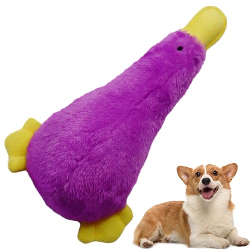 Lueear Kauspielzeug für Hunde, quietschendes Kauspielzeug für Haustiere, sicheres Welpenspielzeug für Spielzeit, Training, Haustiere Lueear Kauspielzeug für Hunde, quietschendes Kauspielzeug für Haustiere, sicheres Welpenspielzeug für Spielzeit, Training, Haustiere von Lueear