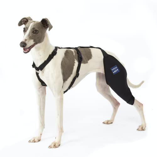 LufeLux Hunde-Kniebandage mit Geschirr und Verbindungsgurt, leicht und dehnbar, Unterstützung für zerrissene ACL Hinterbeine, Luxating Patella, reduziert Arthritis Schmerzen und Entzündungen (klein) LufeLux Hunde-Kniebandage mit Geschirr und Verbindungsgurt, leicht und dehnbar, Unterstützung für zerrissene ACL Hinterbeine, Luxating Patella, reduziert Arthritis Schmerzen und Entzündungen (klein) von LufeLux