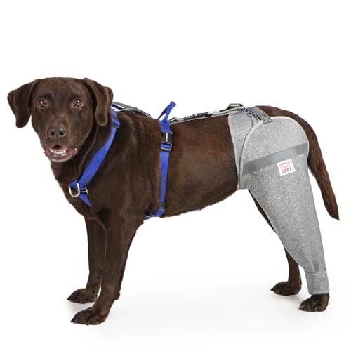 LufeLux Hundebeinmanschette gegen Lecken und Erholung nach Operationen, schützt verletzte Hinterbeine vor übermäßigem Lecken und Kratzen, Kegel-Alternative mit atmungsaktivem Stoff, einfach zu LufeLux Hundebeinmanschette gegen Lecken und Erholung nach Operationen, schützt verletzte Hinterbeine vor übermäßigem Lecken und Kratzen, Kegel-Alternative mit atmungsaktivem Stoff, einfach zu von LufeLux