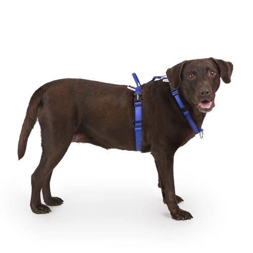 LufeLux Hundegeschirr für große Hunde, kein Ziehen, hält das Gleichgewicht, leicht, Halsschnalle, hinten und vorne, eingenähte Anleitungsetiketten für einfache Verwendung, Blau von LufeLux