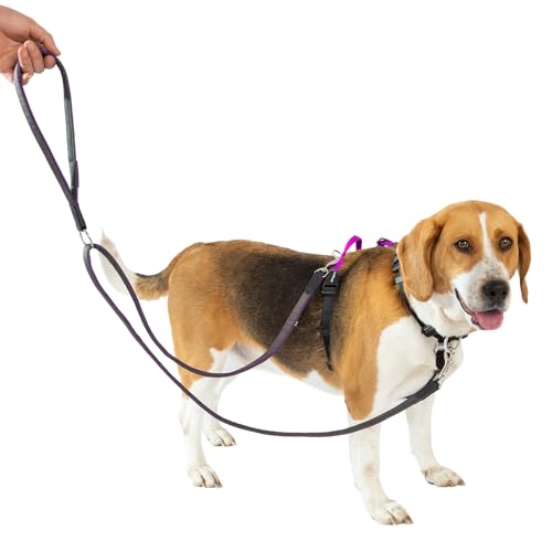 LufeLux Hundegeschirr mit Zwei-Punkte-Kontrolle, Halsschnalle, Aluminium-D-Ringe, 6-Punkte-Einstellung, einfaches Gehen und Training, Leine mit 2 Clips (Harness-Leash, M) von LufeLux