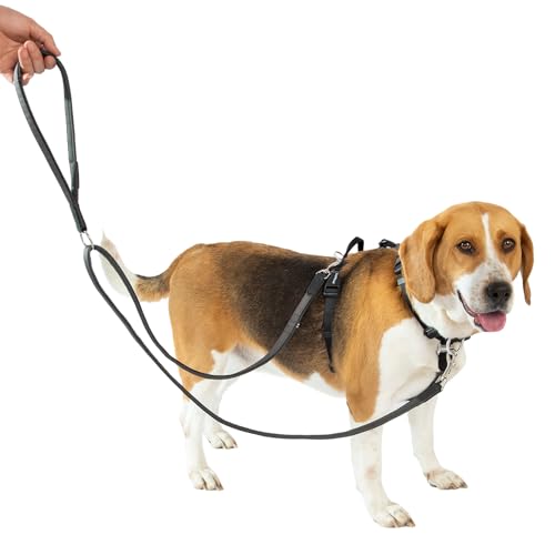 LufeLux Hundegeschirr mit Zwei-Punkte-Kontrolle, Halsschnalle, Aluminium-D-Ringe, 6-Punkte-Einstellung, einfaches Gehen und Training, Leine mit 2 Clips (Harness-Leash-Set, L) von LufeLux