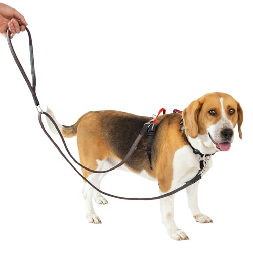 LufeLux Hundegeschirr mit Zwei-Punkte-Kontrolle, Halsschnalle, Aluminium-D-Ringe, 6-Punkte-Einstellung, einfaches Gehen und Training, Leine mit 2 Clips (Harness-Leash-Set, S) von LufeLux