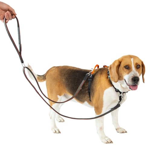 LufeLux Hundegeschirr mit Zwei-Punkte-Kontrolle, Halsschnalle, Aluminium-D-Ringe, 6-Punkte-Einstellung, einfaches Gehen und Training, Leine mit 2 Clips (Harness-Leash-Set, XL) von LufeLux