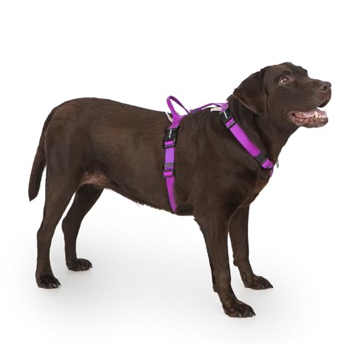 LufeLux Non-Restrictive PRO Easy Walk Freedom Hundegeschirr, kein Ziehen, hält das Gleichgewicht, Halsschnalle, 6-Punkte-Einstellung, 2 Leinenclips für Rücken- und Frontclip (Lila, L) von LufeLux
