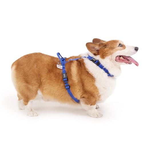 LufeLux Non-Restrictive PRO Easy Walk Freedom Hundegeschirr, kein Ziehen, hält das Gleichgewicht, Halsschnalle, Sechspunkte-Einstellung, 2 Leinenclips für Rücken- und Frontclip (Blau, XS) von LufeLux