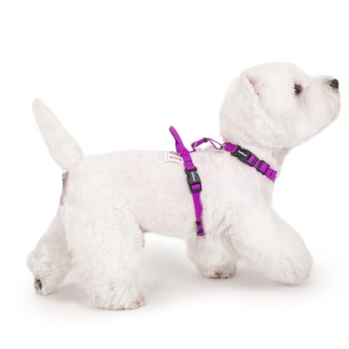 LufeLux Non-Restrictive PRO Easy Walk Freedom Hundegeschirr, kein Ziehen, hält das Gleichgewicht, Halsschnalle, Sechspunkte-Einstellung, 2 Leinenclips für Rücken- und Frontclip (Lila, S) von LufeLux