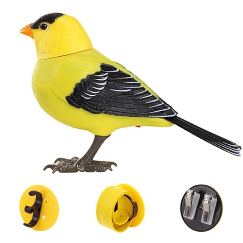 Luieonm Elektronisches Vogelspielzeug, elektrische , elektrisches singendes und zwitscherndes Vogelspielzeug, Bewegungs- und Geräuschaktivierung, realistische Dekoration für Zuhause, Büro Luieonm Elektronisches Vogelspielzeug, elektrische , elektrisches singendes und zwitscherndes Vogelspielzeug, Bewegungs- und Geräuschaktivierung, realistische Dekoration für Zuhause, Büro von Luieonm
