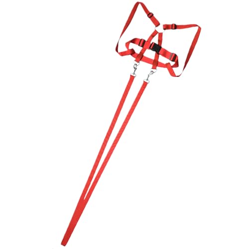 Luieonm Sicheres Pferdegeschirr, Spielleine für Kinder, verschleißfeste Reitausrüstung, Outdoor-Aktivität, Rollenspiel für Freunde, Familie, , Teenager, Mädchen Luieonm Sicheres Pferdegeschirr, Spielleine für Kinder, verschleißfeste Reitausrüstung, Outdoor-Aktivität, Rollenspiel für Freunde, Familie, , Teenager, Mädchen von Luieonm