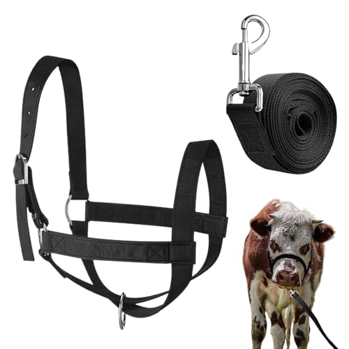 Rinderhalfter – Kuhhalfter mit Seil, verstellbare Nylon-Ausrüstung, Show-Viehbedarf für Ranch-Hof, Rasen, Grasland, Handling-Training für kleine Rassen Rinderhalfter – Kuhhalfter mit Seil, verstellbare Nylon-Ausrüstung, Show-Viehbedarf für Ranch-Hof, Rasen, Grasland, Handling-Training für kleine Rassen von Luieonm