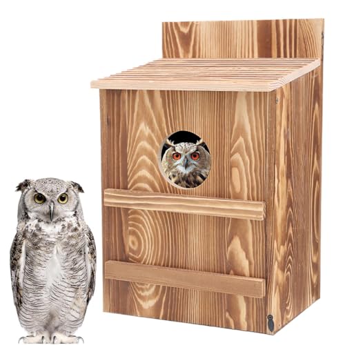 Screech Eule Haus, Eule Vogelbox große handgemachte hölzerne runde Öffnung Screech Box für den Außenbereich, einfache Montage, runde Öffnung, handgemachte Unterschlupf für Turmfalken Vögel Screech Eule Haus, Eule Vogelbox große handgemachte hölzerne runde Öffnung Screech Box für den Außenbereich, einfache Montage, runde Öffnung, handgemachte Unterschlupf für Turmfalken Vögel von Luieonm