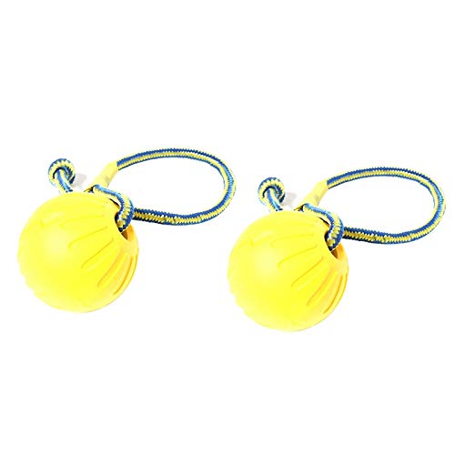 Lukasz 2 Stück Hundespielzeug Ball Unzerstörbar Solide Gummibälle zum Kauen Fetch Bite Spielzeug mit Seil von Lukasz