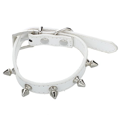 Lukasz Halsband aus PU mit Nieten für Hunde, Katzen, Tiere, Weiß, XS von Lukasz