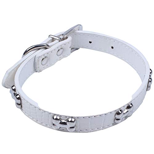 Lukasz Halsband für Haustiere, kleine Hundehalsbänder, Bling, mit Halsband aus Knochen, Katze, Welpen, M, Weiß 1 von Lukasz