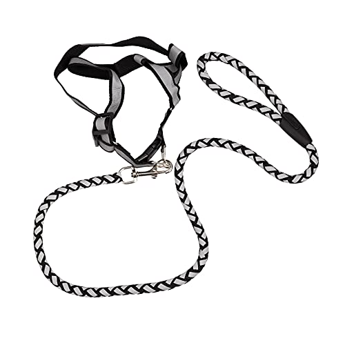 Lukasz Hundehalsband und Leine, reflektierend, Sicherheitsgurt, Sicherheitsgurt, für Hunde, verstellbare Zugschnur, Gehgeschirr, Brustgurt, Schwarz #L von Lukasz