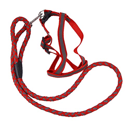 Lukasz Hundehalsband und Leine, reflektierend, Sicherheitsgurt für Hunde, verstellbar, für Spaziergänge, Brustgurt, Rot #M von Lukasz