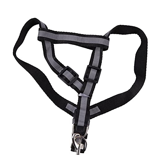 Lukasz Hundehalsband und Leine, reflektierend, Sicherheitsgurt für Hunde, verstellbar, für Spaziergänge, Brustgurt, schwarz, #M von Lukasz