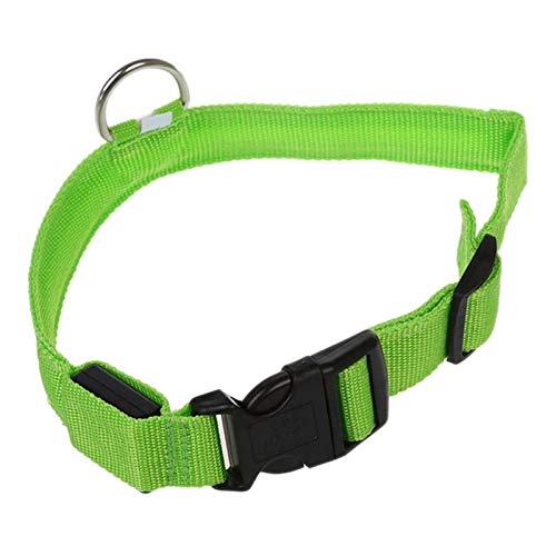 Lukasz LED beleuchtet Hundehalsbänder zur Sicherheit in der Nacht, langlebige Halsbänder für Haustiere für kleine / mittlere / große Hunde von Lukasz