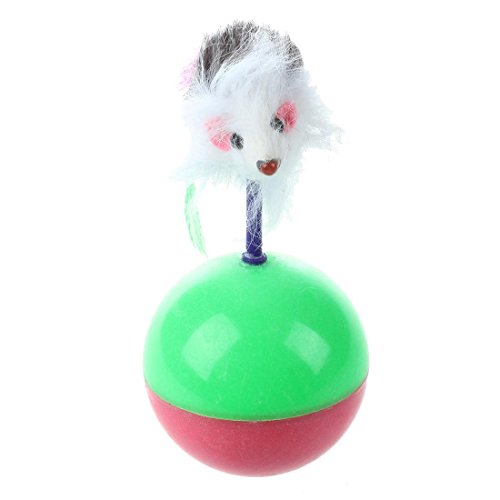Lukasz Lustige Kinder Kätzchen Katze Training Spielzeug Maus Tumbler Ball von Lukasz