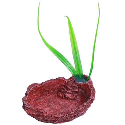 Lukasz Ziegelstein-Rote Ovale Harz-BehäLter-Reptilien-Teller-SchüSsel mit Gras von Lukasz