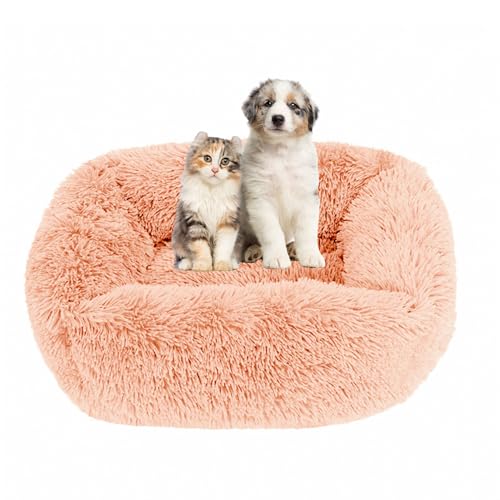 Lukery Hundebett Katzenbett Flauschig Rund aus Plüsch, Kuscheliges Donut Hundekissen und Katzenkissen Weiches Plüsch Hundeliege für Kleine, Mittelgroße und Große Haustiere (55X45CM,Dunkel-Aprikose) Lukery Hundebett Katzenbett Flauschig Rund aus Plüsch, Kuscheliges Donut Hundekissen und Katzenkissen Weiches Plüsch Hundeliege für Kleine, Mittelgroße und Große Haustiere (55X45CM,Dunkel-Aprikose) von Lukery