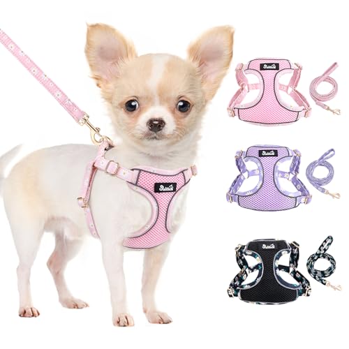 Lukovee Welpengeschirr und Leine, kein Ziehen, weich, leicht, ausbruchsicher, atmungsaktiv, verstellbar, Haustiergeschirr mit Hundeleine für kleine Hunde (Rosa, XS) von Lukovee
