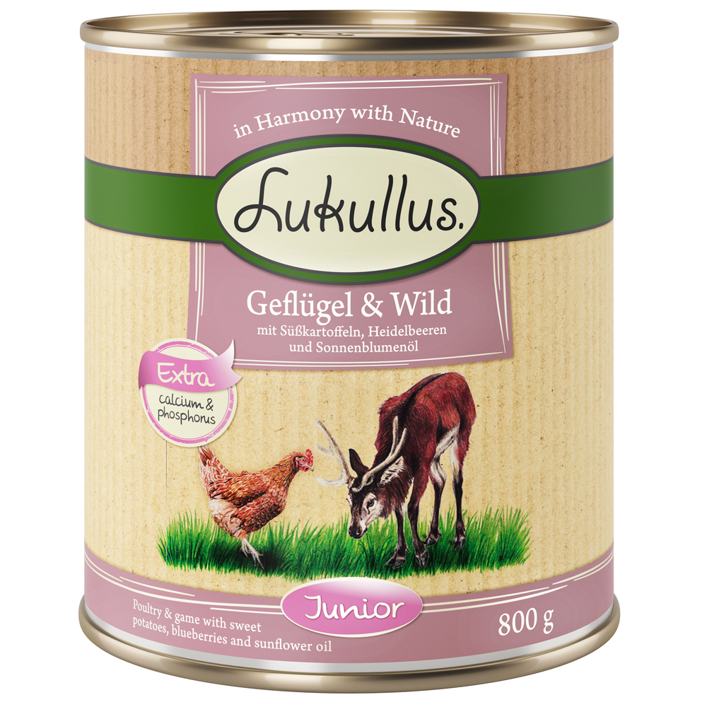 10 + 2 gratis! 12 x 800 g Lukullus Naturkost Junior Junior Geflügel & Wild mit Süßkartoffeln, Heidelbeeren und Sonnenblumenöl 10 + 2 gratis! 12 x 800 g Lukullus Naturkost Junior Junior Geflügel & Wild mit Süßkartoffeln, Heidelbeeren und Sonnenblumenöl von Lukullus