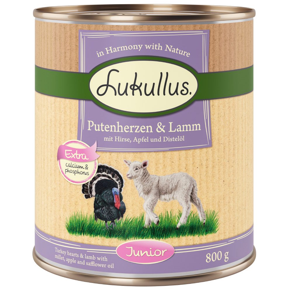 10 + 2 gratis! 12 x 800 g Lukullus Naturkost Junior Junior Putenherzen & Lamm mit Hirse, Apfel und Traubenkernöl 10 + 2 gratis! 12 x 800 g Lukullus Naturkost Junior Junior Putenherzen & Lamm mit Hirse, Apfel und Traubenkernöl von Lukullus