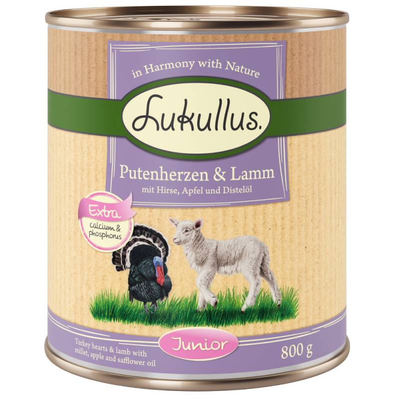 10 + 2 gratis! 12 x 800 g Lukullus Naturkost Junior Junior Putenherzen & Lamm mit Hirse, Apfel und Traubenkernöl von Lukullus