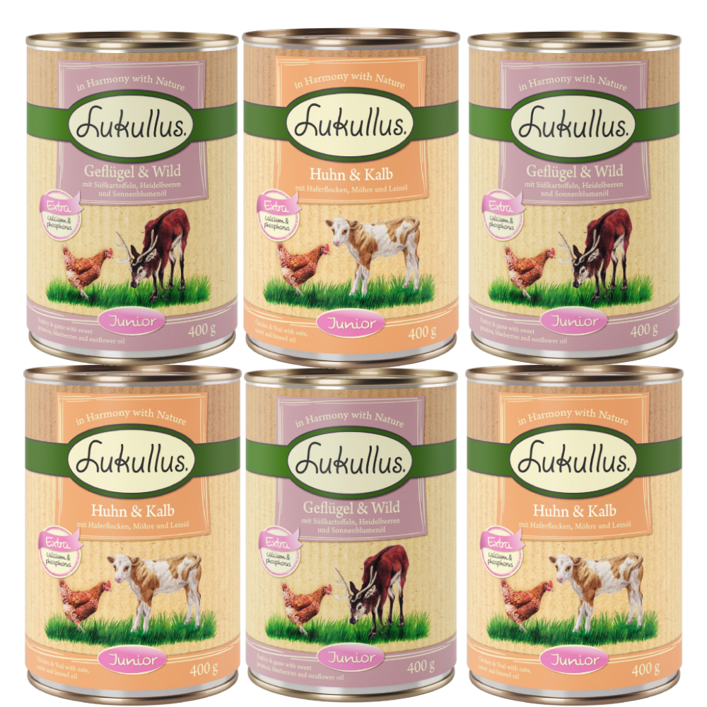 6 x 400 g Lukullus Naturkost Junior Probierpakete Gemischtes Probierpaket von Lukullus