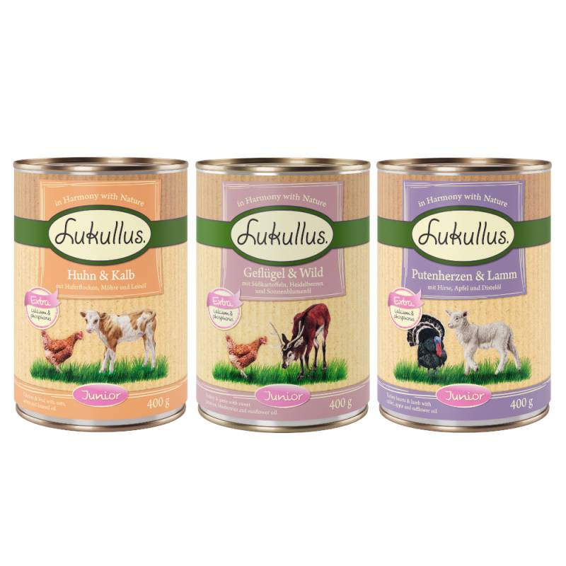 6 x 400 g Lukullus Naturkost zum Sonderpreis! - Junior Mix (3 Sorten) von Lukullus