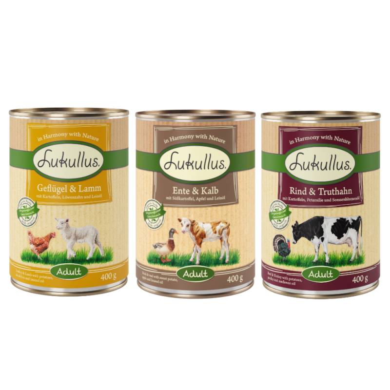 Lukullus Naturkost Getreidefreies Probierpaket 6 x 400 g - Mixpaket (3 Sorten) von Lukullus