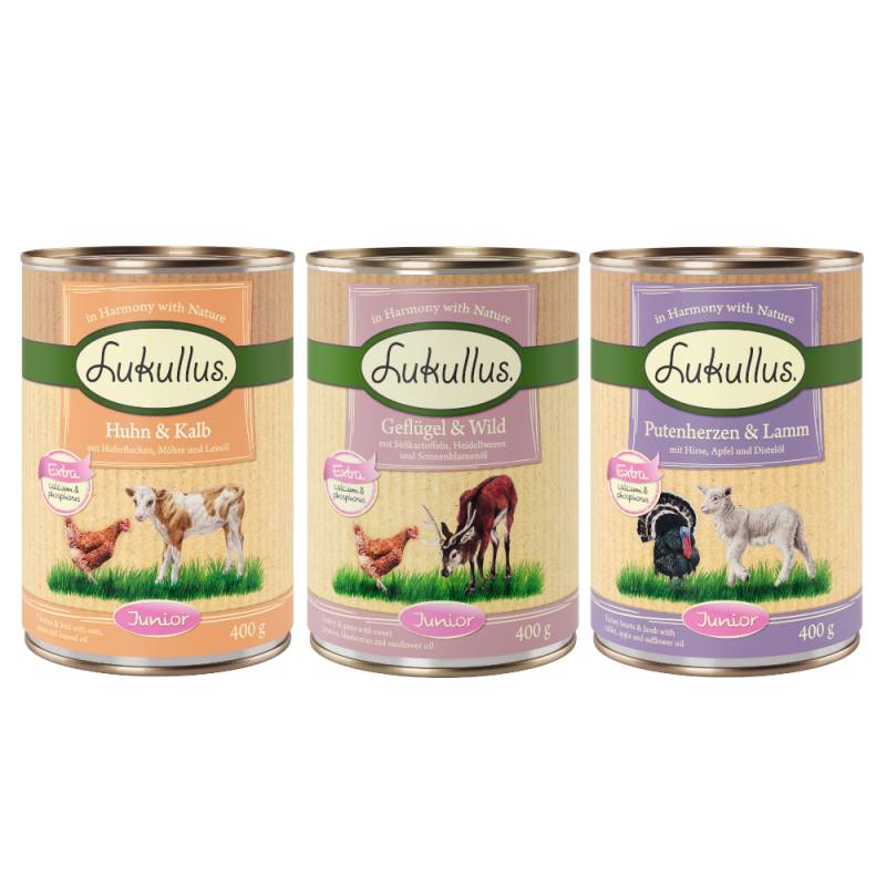 6 x 400 g Lukullus Naturkost Junior Probierpakete - Mixpaket 1 (3 Sorten) von Lukullus