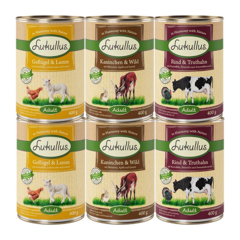 6 x 400 g Lukullus Naturkost gemischtes Probierpaket - Mixpaket (3 Sorten) von Lukullus